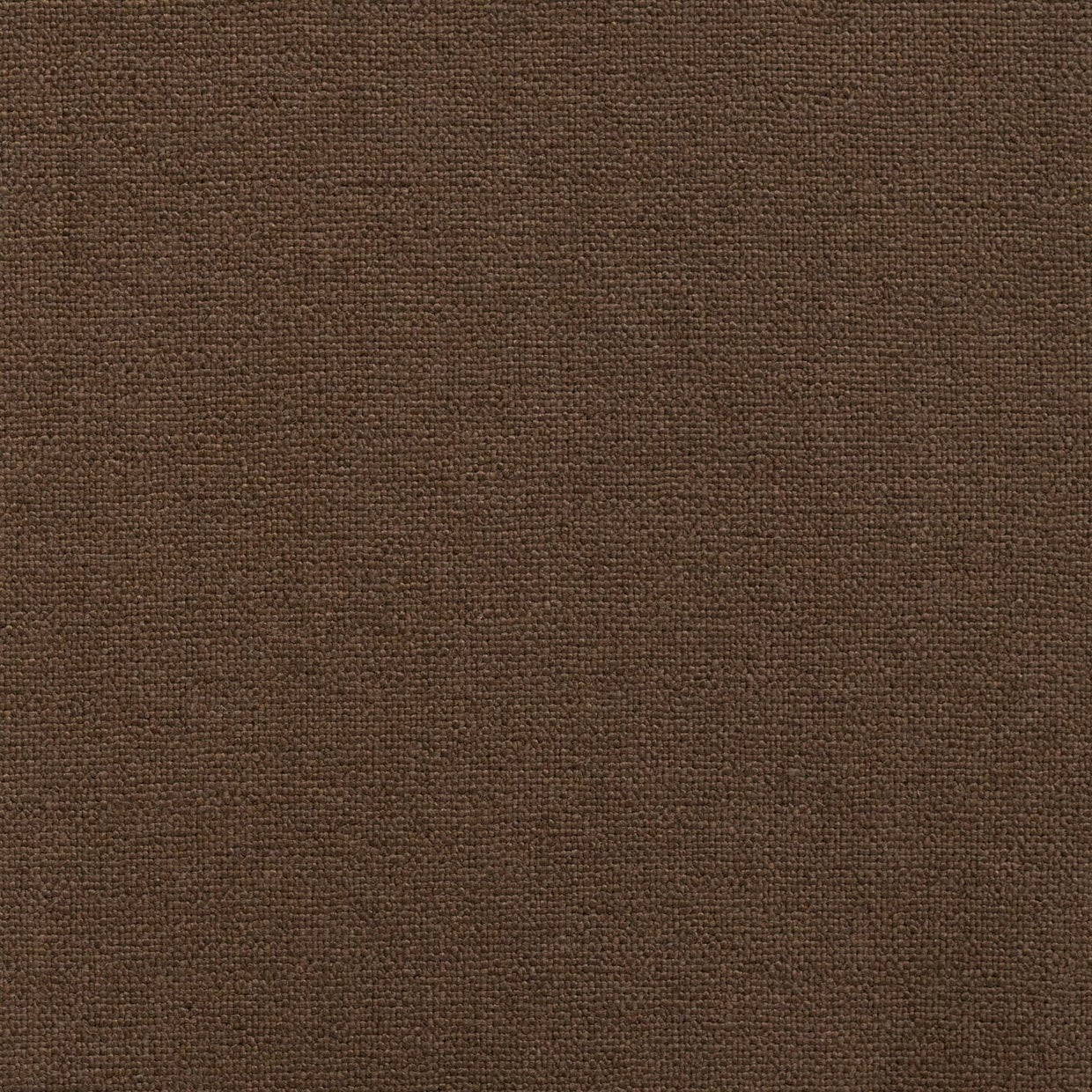 Epitome Bronze