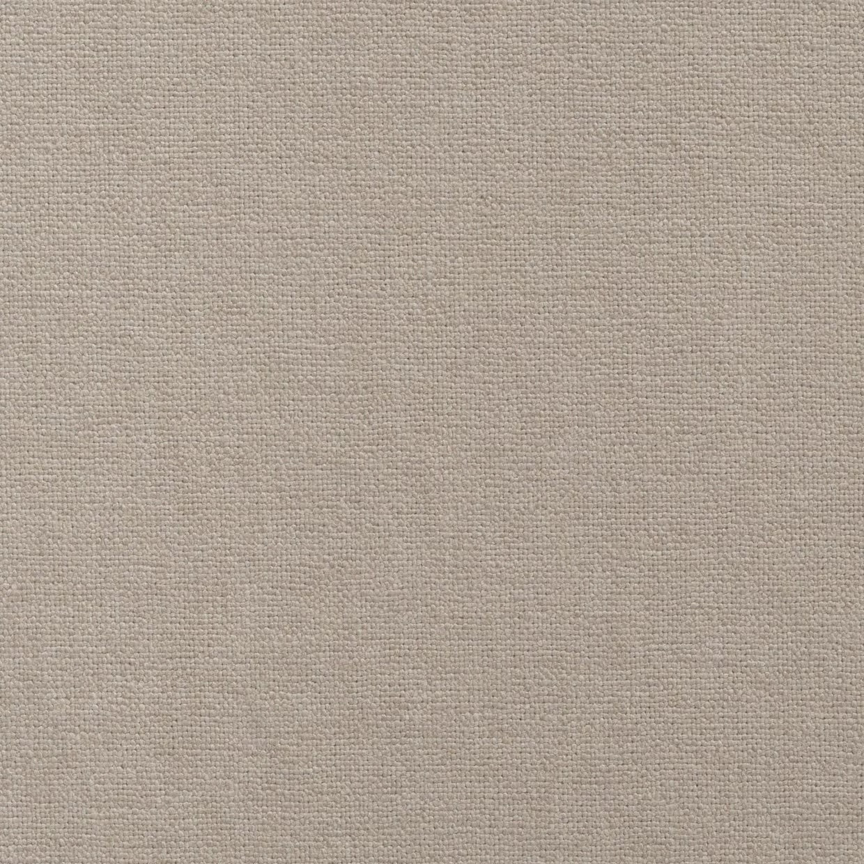 Epitome Jute