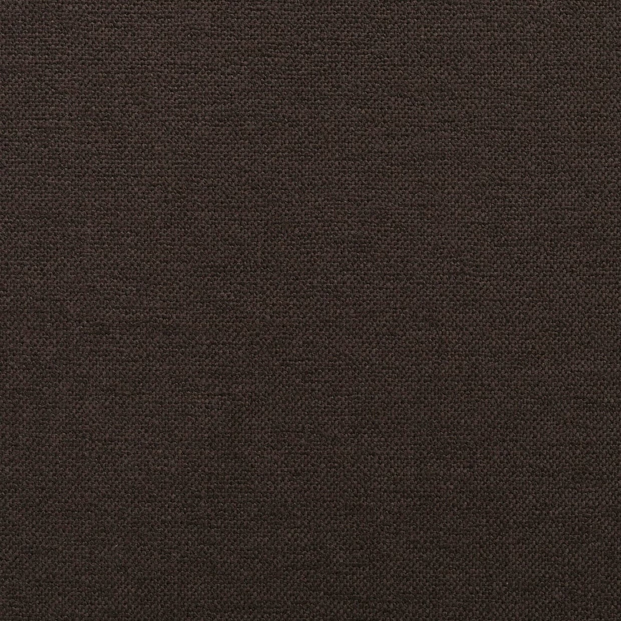Epitome Cacao