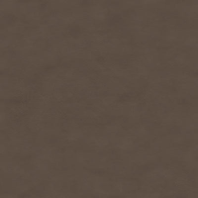 Nuance Dark Brown